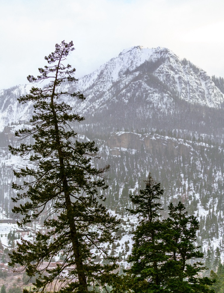 Snow cloud – Places Unknown and Everything Else